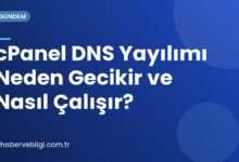 cPanel DNS Yayılımı Neden Gecikir ve Nasıl Çalışır?