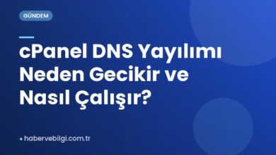 cPanel DNS Yayılımı Neden Gecikir ve Nasıl Çalışır? cPanel DNS Yayılımı Neden Gecikir ve Nasıl Çalışır?