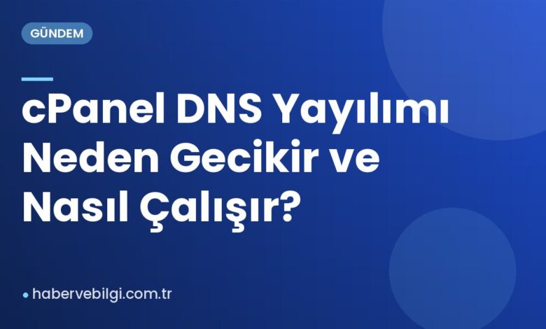 cPanel DNS Yayılımı Neden Gecikir ve Nasıl Çalışır?